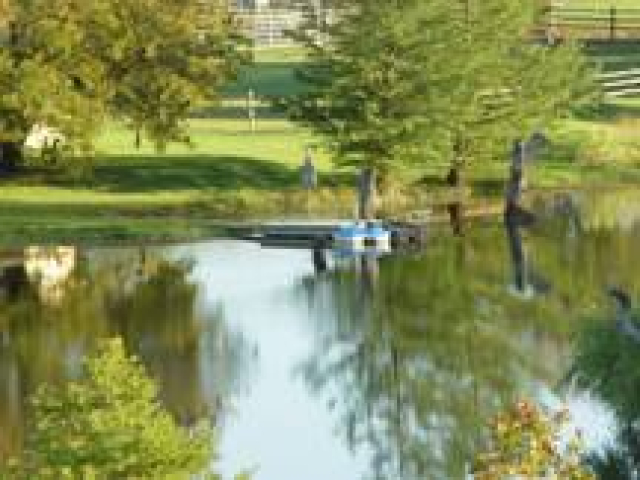Paddle Boat on Private Lake