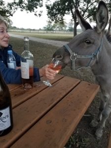 Julie and Molly enjoy some wine!